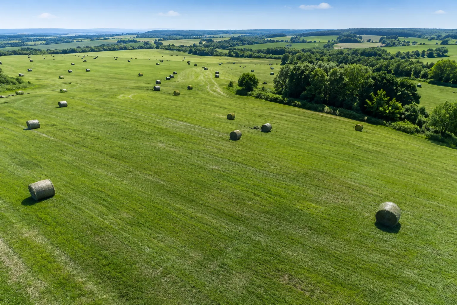 9GL-2.5/2.9 compact mower-rake in small farm pasture